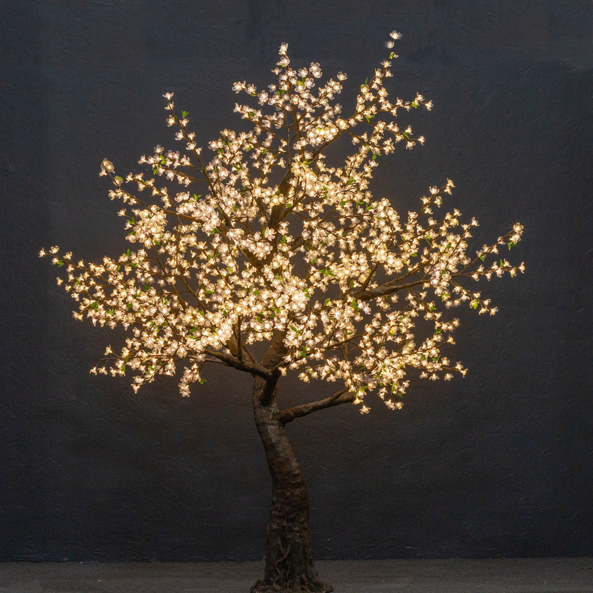 White Cherry (Standard 9ft)